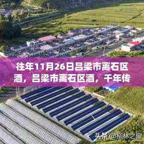 吕梁市离石区酒,千年传承与独特魅力的交汇日