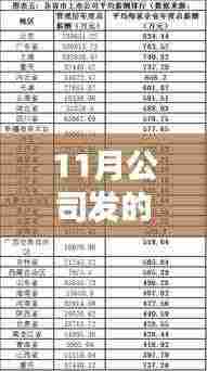 探究十一月工资差异,公司工资发放背后的原因与影响