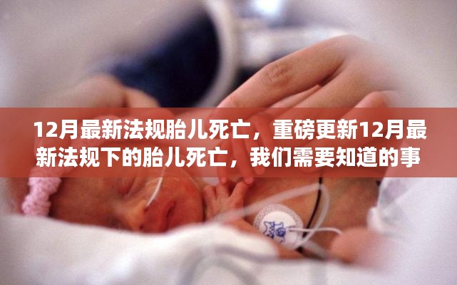 重磅更新,12月最新法规下的胎儿死亡须知