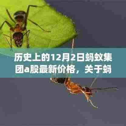 蚂蚁集团A股最新价格历史探索,查询步骤与数据深度解析(初学者与进阶用户指南)