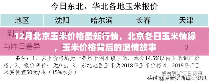 北京冬季玉米行情揭秘，价格背后的温情故事