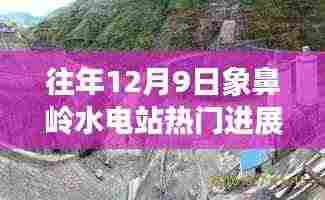 往年12月9日象鼻岭水电站进展热议，深度分析与观点阐述