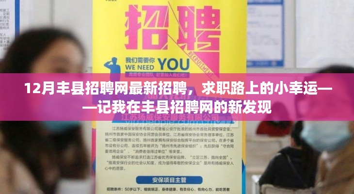 丰县招聘网最新招聘,求职路上的新发现