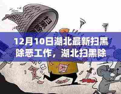 湖北扫黑除恶工作最新进展,与自然共舞,心灵净土的追寻之路