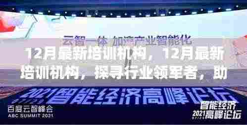 探寻行业领军培训机构，助力个人成长之路（12月最新更新）