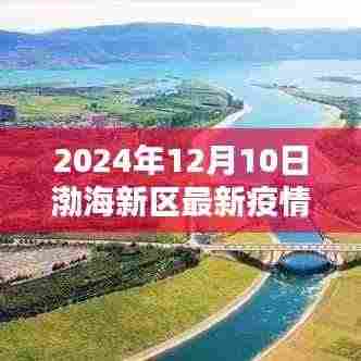 2024年渤海新区疫情现状与深度分析,影响及观点阐述