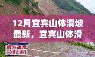 宜宾山体滑坡最新动态与防范应对指南,初学者到进阶用户的必备知识