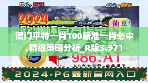 澳门平特一肖100最准一肖必中,精细策略分析_R版3.971