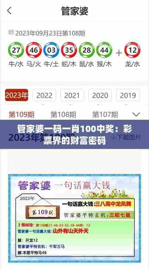管家婆一码一肖100中奖:彩票界的财富密码