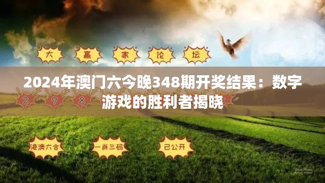 2024年澳门六今晚348期开奖结果:数字游戏的胜利者揭晓