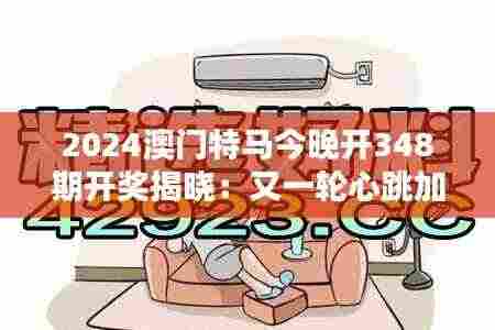 2024澳门特马今晚开348期开奖揭晓:又一轮心跳加速的时刻