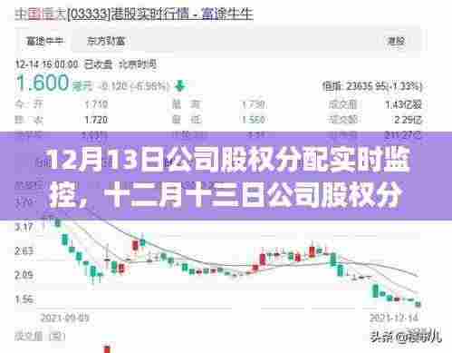十二月十三日公司股权分配实时监控，洞悉运营脉络，保障投资者权益