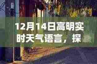 高明实时天气下的惊喜小巷美食之旅,探秘独特风味小店