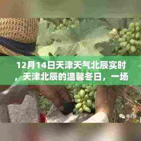 天津北辰冬日趣事,天气引发的温馨与趣味