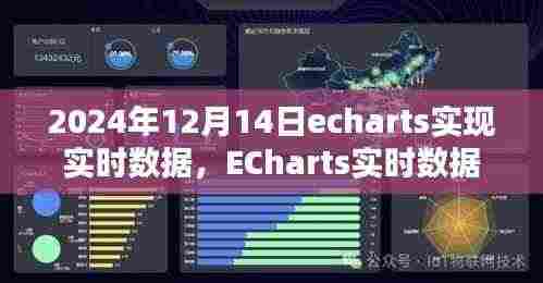 ECharts实时数据可视化深度解析,特性、体验与竞品对比,2024年12月14日实现指南