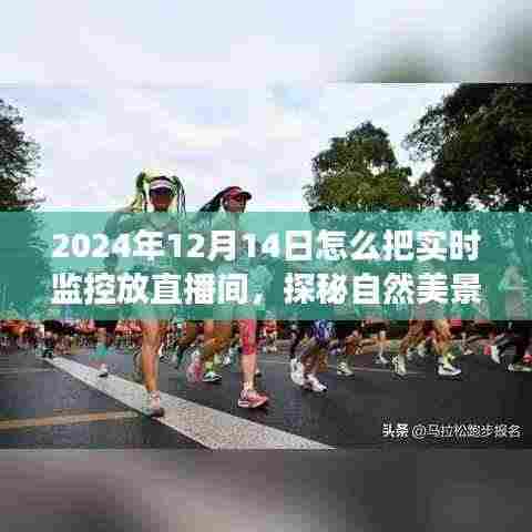 探秘自然美景,2024年12月14日直播之旅,带你远离尘嚣,发现内心宁静与实时监控的直播体验