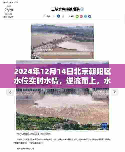 北京朝阳区水位实时水情启示录,逆流而上,水情中的励志之歌(2024年12月14日)