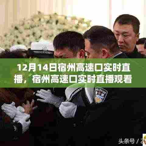 宿州高速口实时直播观看指南,12月14日直播攻略与观看技巧