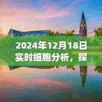 探秘科技秘境,实时细胞分析的奇妙之旅(2024年12月18日)