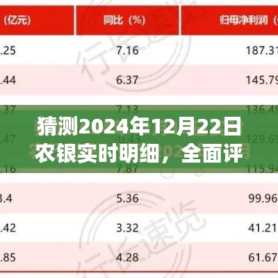 2024年农银实时明细产品评测,特性、体验与目标用户分析