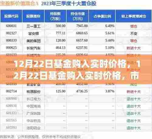 12月22日基金实时购入价格,市场走势下的投资机遇与挑战解析