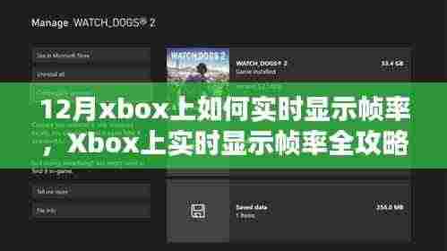 Xbox帧率实时显示全攻略,从入门到进阶的指南