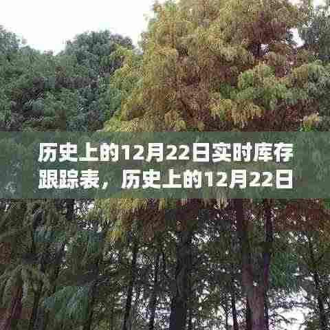 探寻自然美景的心灵之旅,历史上的12月22日库存轨迹跟踪表纪实