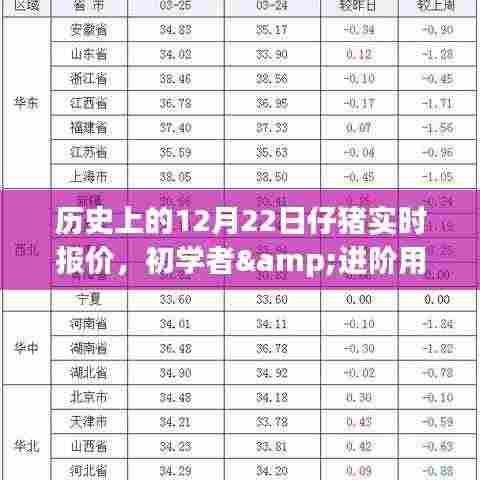 历史上的12月22日仔猪实时报价,初学者与进阶用户查询指南