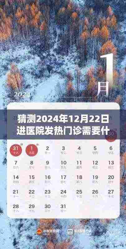 未来医疗前沿缩影,探寻发热门诊的未知与准备,2024年12月22日体验报告