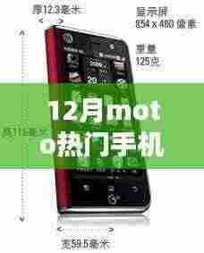 深度解析与观点阐述,12月Moto热门手机综述