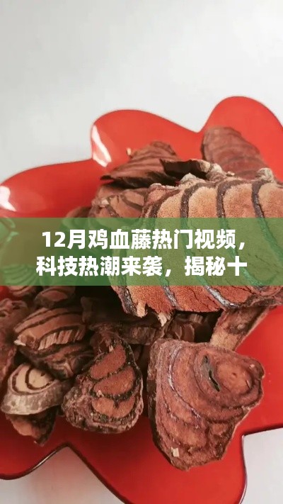 揭秘十二月鸡血藤热潮背后的神秘科技新品,热门视频展现科技新潮