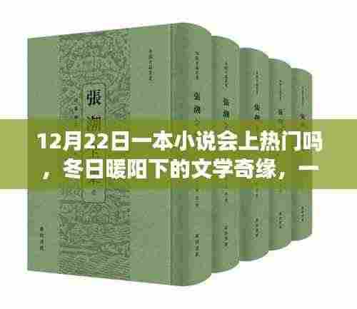 冬日暖阳下的文学奇缘，一本小说的热门之旅与友情温情的期待（12月22日会否成为热门之作）