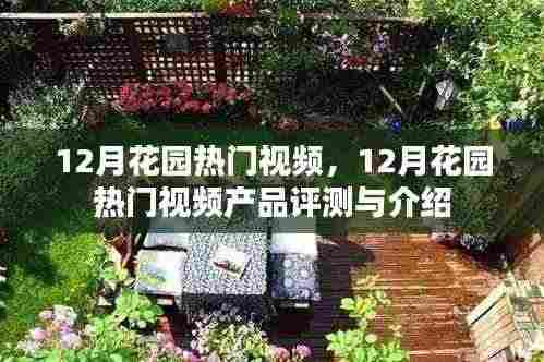 12月花园热门视频产品评测与介绍，详解视频内容与特色