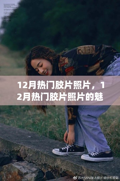 深入探究，12月热门胶片照片的魅力与价值——某某观点解析