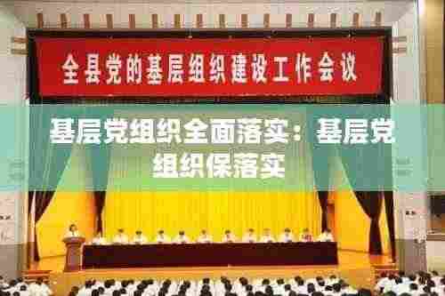 基层党组织全面落实:基层党组织保落实