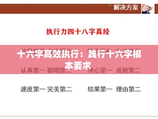 十六字高效执行:践行十六字根本要求