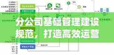 分公司基础管理建设规范,打造高效运营体系的关键要素