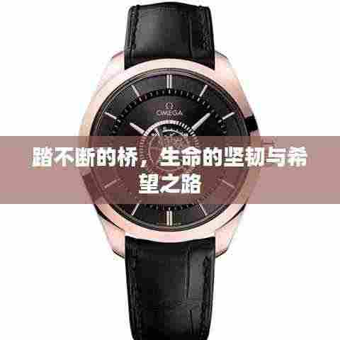 踏不断的桥,生命的坚韧与希望之路