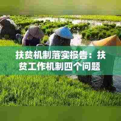 扶贫机制落实报告：扶贫工作机制四个问题 