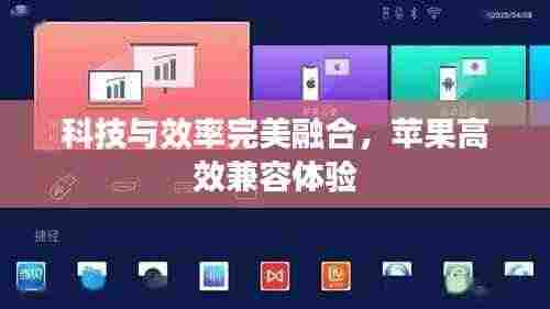 科技与效率完美融合,苹果高效兼容体验