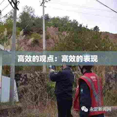 高效的观点：高效的表现 