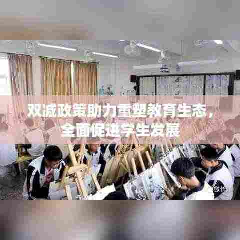 双减政策助力重塑教育生态,全面促进学生发展
