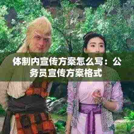 体制内宣传方案怎么写:公务员宣传方案格式