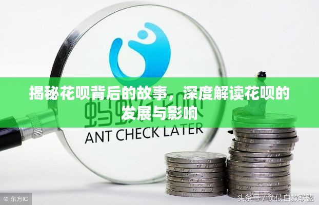 揭秘花呗背后的故事，深度解读花呗的发展与影响