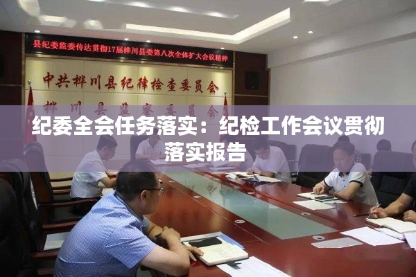 纪委全会任务落实：纪检工作会议贯彻落实报告 