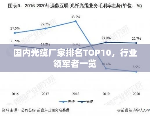 国内光缆厂家排名TOP10,行业领军者一览