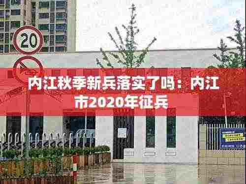 内江秋季新兵落实了吗:内江市2020年征兵