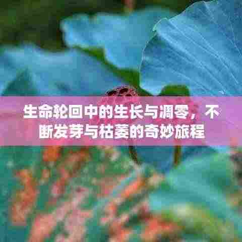 生命轮回中的生长与凋零,不断发芽与枯萎的奇妙旅程