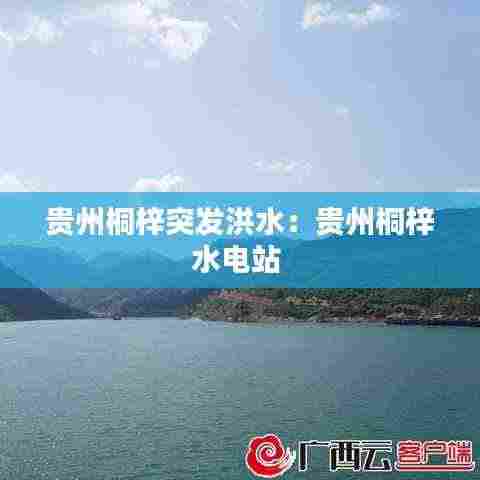 贵州桐梓突发洪水:贵州桐梓水电站