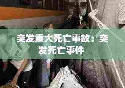 突发重大死亡事故:突发死亡事件